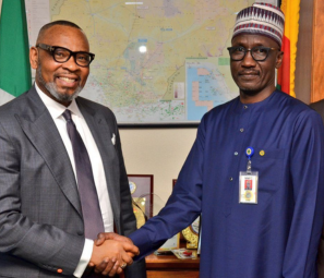 Aiteo boss proposes optimal gas utilisation to resolve power shortages